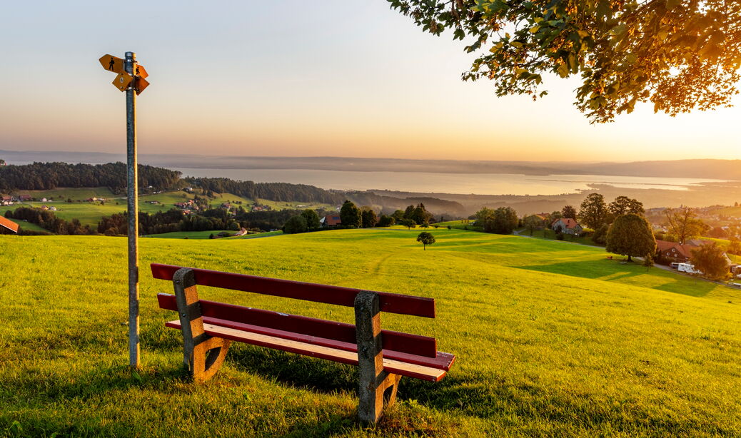 Aussicht über den gesamten Bodensee bei einer Sitzbank oberhalb von Heiden